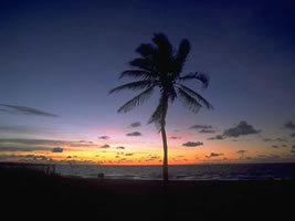 Jamaica